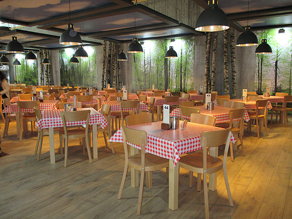 Grosses Wandpanorama eines Frühlingswaldes in Restaurant