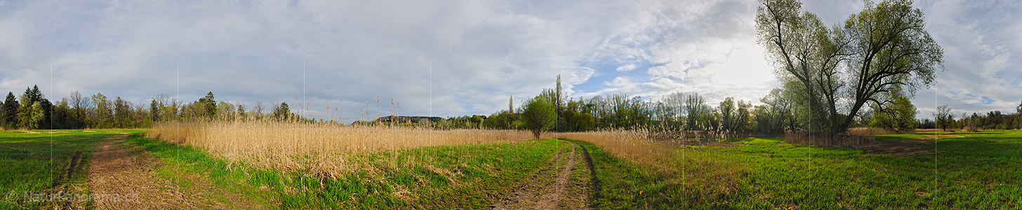 P009522: 360° Panoramafoto einer Riedlandschaft