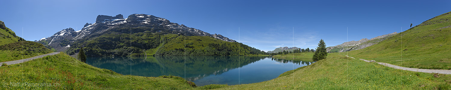 P020006: Gigapixel Panoramafoto Grüne Berglandschaft am Engstlensee