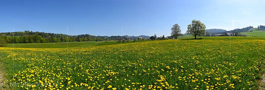 P021171a: Grosses Panoramafoto Bunte Frühlingslandschaft im Emmental