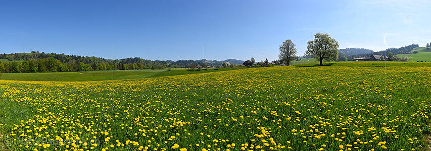 P021171: Grosses Panoramafoto Frühlingslandschaft im Emmental
