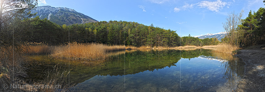 P012320: Grossfoto Idyllischer See mit Schilfgürtel und Spiegelung