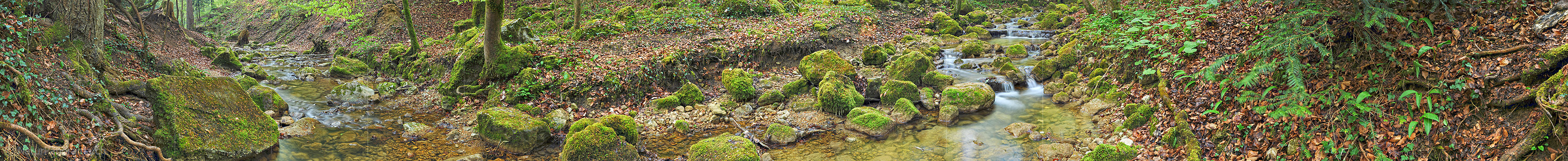 P014432c: Langes Panoramafoto Bach im Frühlingswald (Langzeitbelichtung)