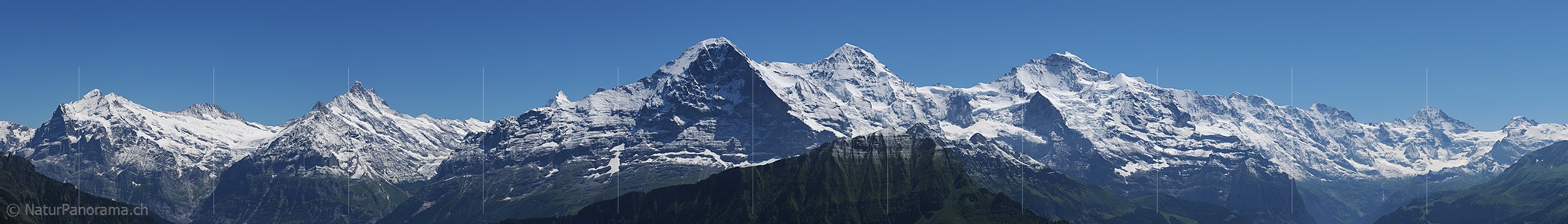 P003892e: Large panorama photo Eiger, Mönch and Jungfrau and Co. from the Schynige Platte