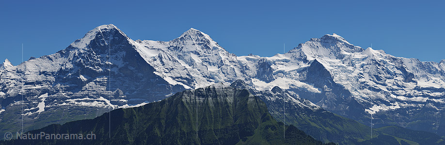 P003892c: Large photo Eiger, Mönch and Jungfrau  from the Schynige Platte