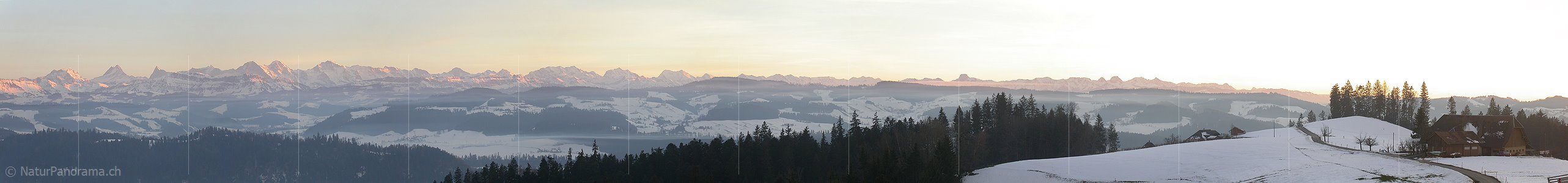 P000081: Panoramabild Berner Alpen im Winter