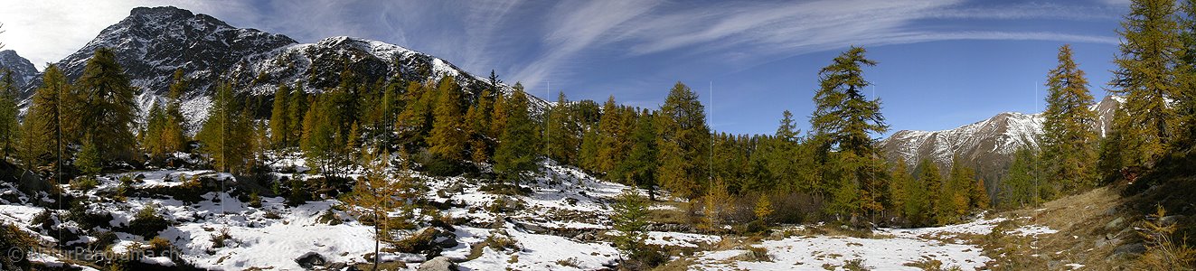 P000114: Panorama Herbstlicher Bergwald auf der Mässeralp