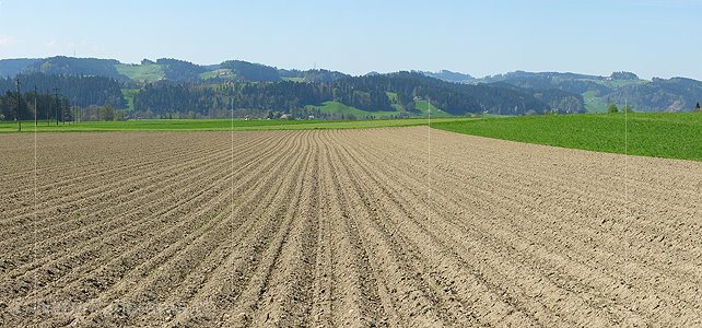 P000134: Panoramabild Bestellter Acker im Emmental