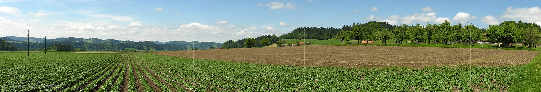 P000165: Panoramafoto Kulturland bei Lützelflüh
