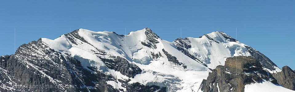 P000278: Panorama Blüemlisalp vom Hundshorn