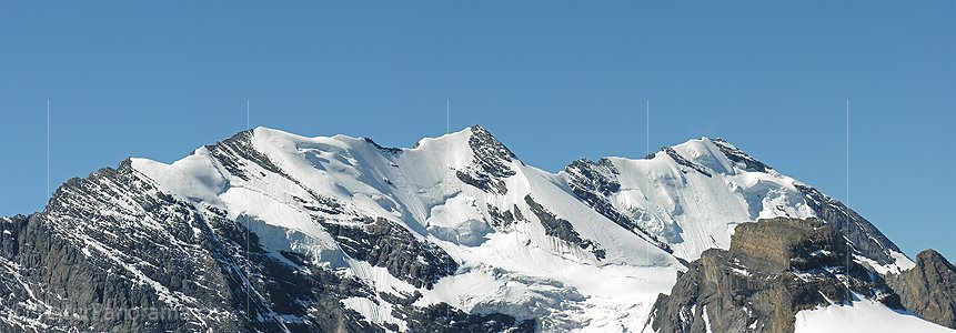 P000278a: Panorama Blüemlisalpgruppe vom Hundshorn