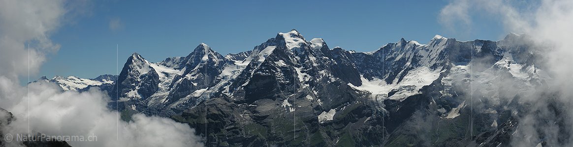 P000287: Panoramabild Eiger, Mönch, Jungfrau und Ebene Fluh vom Hundshorn/Schilthorn, Berner Oberland