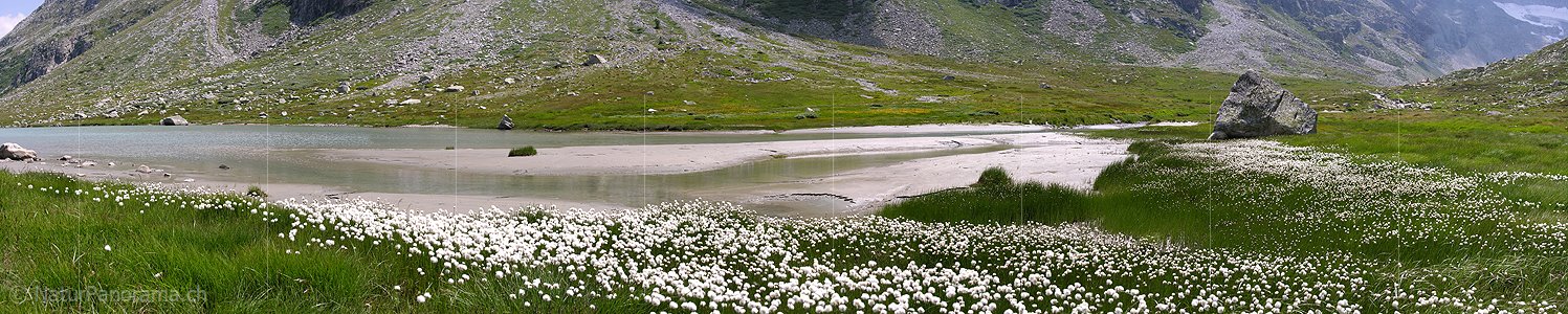 P000305: Panorama Chummibort, Binntal