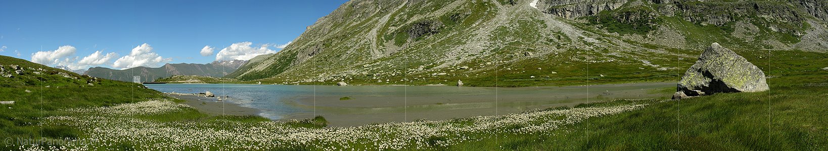 P000350: Panorama Chummibort VIII