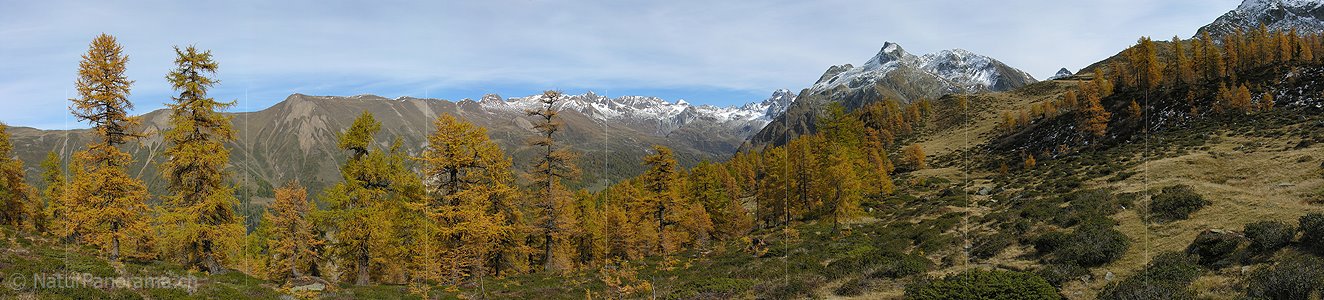 P000537: Panorama Herbst