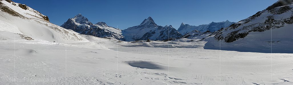 P000746: Panoramabild Bachalpsee, Grindelwald
