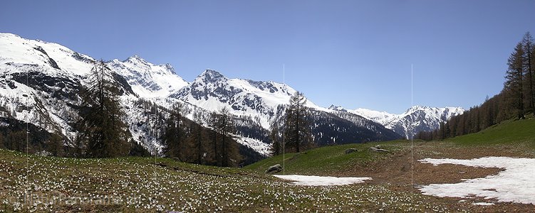 P000778: Panoramafoto Eggerebode, Binntal, Wallis