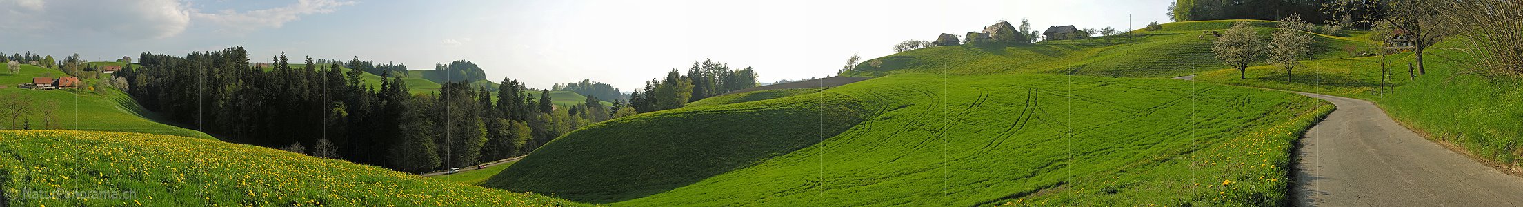 P000985: Panoramafoto Rüegsbach, Emmental