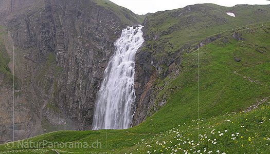 P001162: Panoramabild Engstligenalp, Adelboden