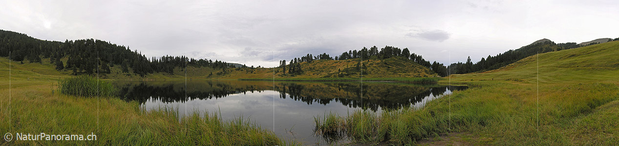 P001383: Panoramabild Flachmoor und Sewenseeli, Fürstein