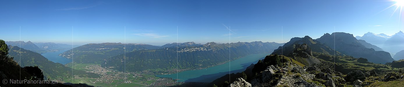 P001405: Panoramabild Schynige Platte, Jungfrauregion