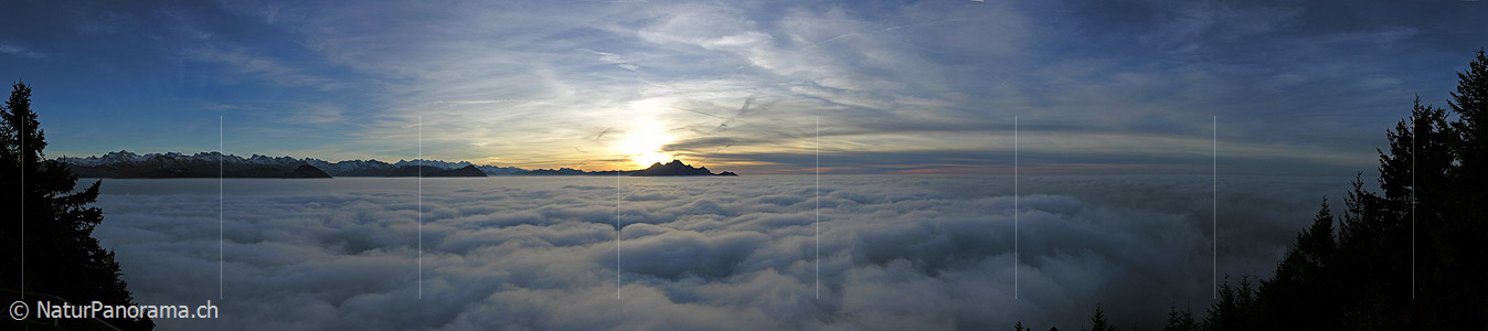 P001558: Panorama Abendstimmung über Nebelmeer von Rigi Kaltbad (Chänzeli)
