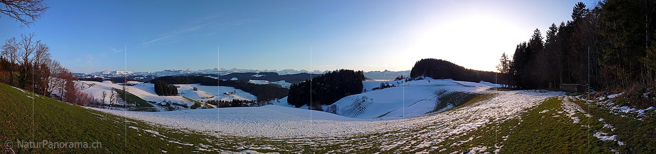 P001658: Panorama Emmental: Winterliche Hügellandschaft mit Berner Alpen