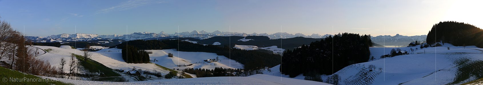 P001660: Panoramabild Emmental: Winterliche Hügellandschaft mit Berner Alpen