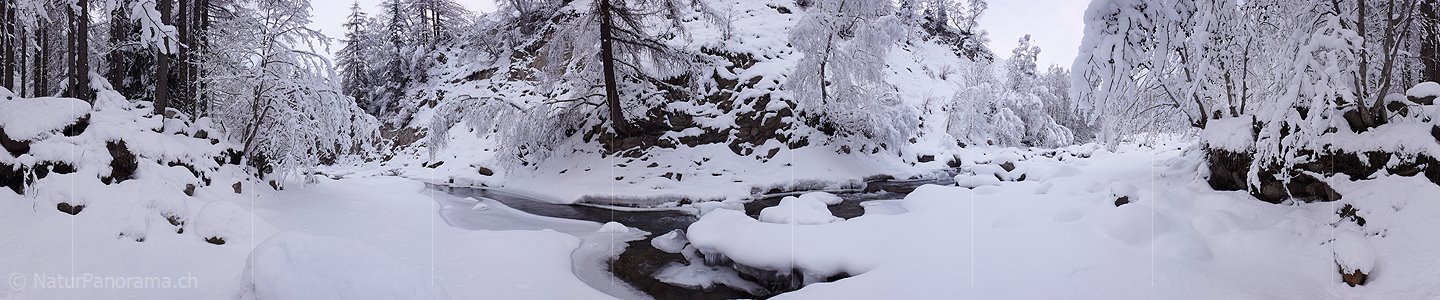 P001826: Panorama Bergbach im Winter