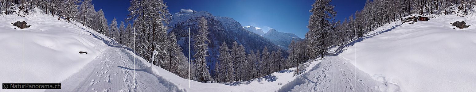 P001829: Panoramafoto Winterwanderweg Binntal, Wallis