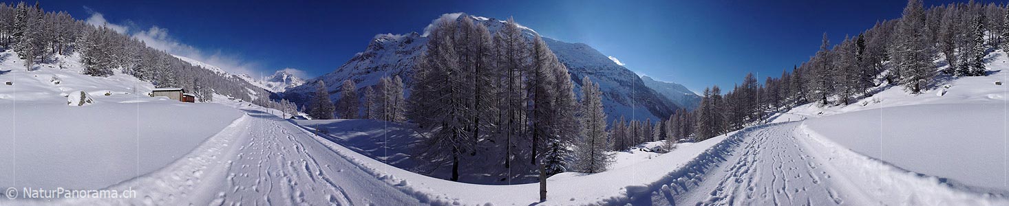 P001830: Panoramaaufnahme Winterwanderweg Binntal, Wallis