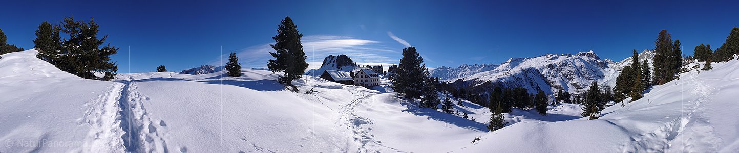 P001858: Panoramafoto Riederalp (Riederfurka & Aletschwald)