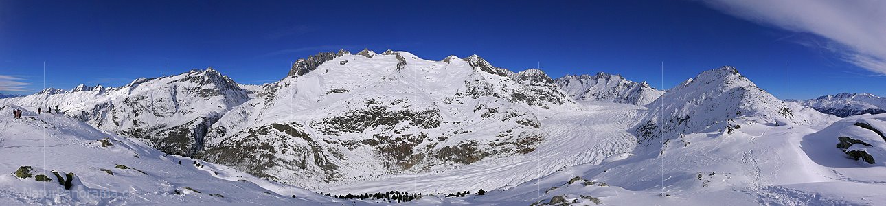 P001861: Panoramabild Grosser Aletschgletscher im Winter