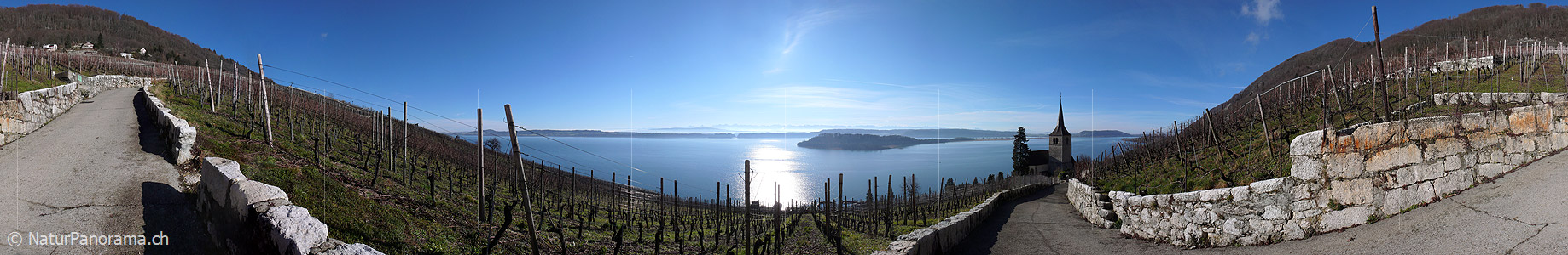 P001877: Panoramabild Ligerz, Bielersee und St. Petersinsel