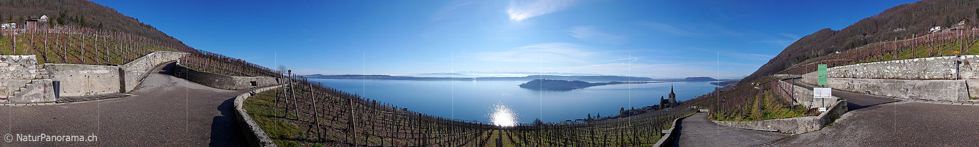P001878: Panorama Ligerz, Bielersee und St. Petersinsel