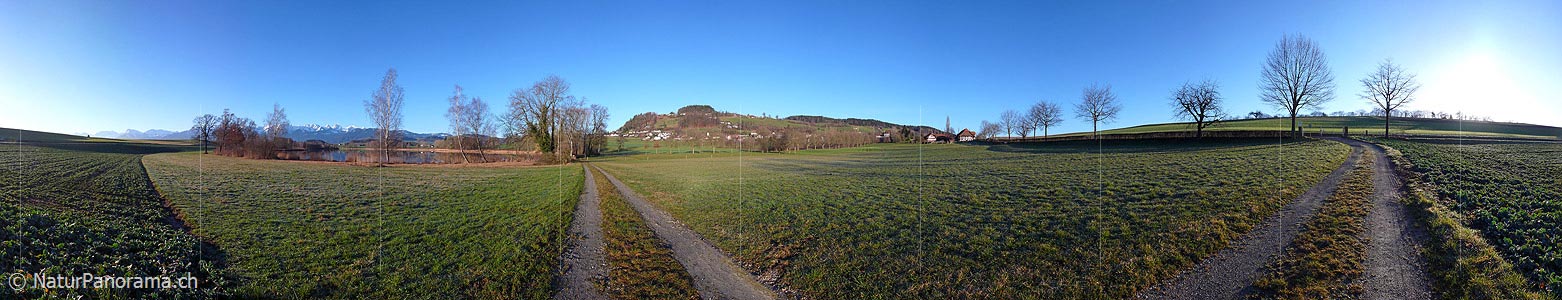 P001931: Panorama Gerzensee