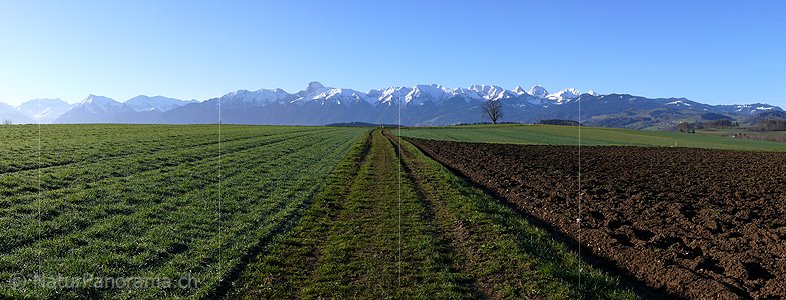 P001944: Panorama Stockhornkette