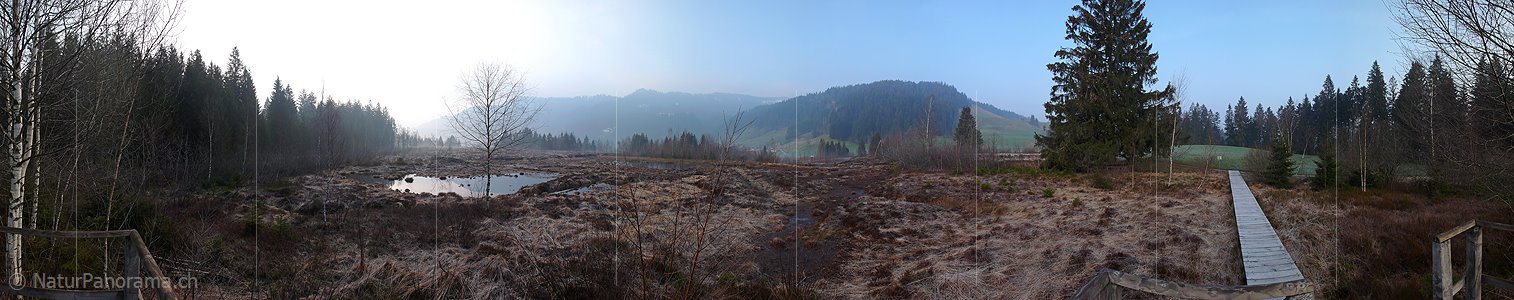 P001978: Panorama Hochmoor Steinmösli