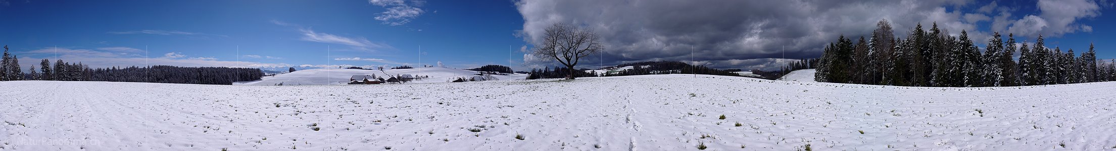 P001987: Panoramabild Zwischenhoch nach Schneefall