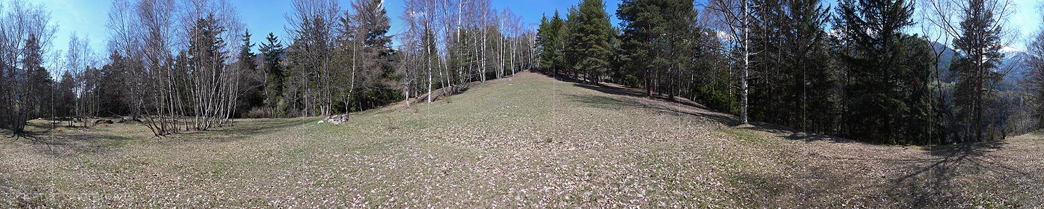 P002054: Panorama Waldlichtung in Mischwald