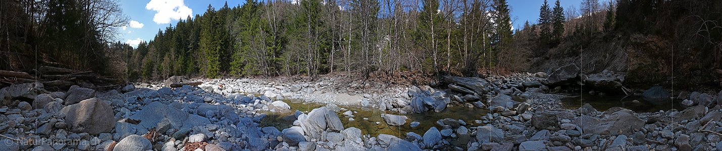 P002056: Panoramabild Wildbach