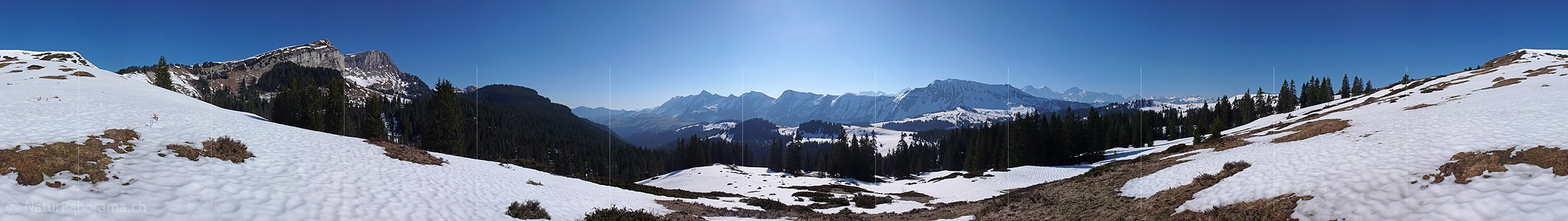 P002062: Panoramabild Hohgantgebiet