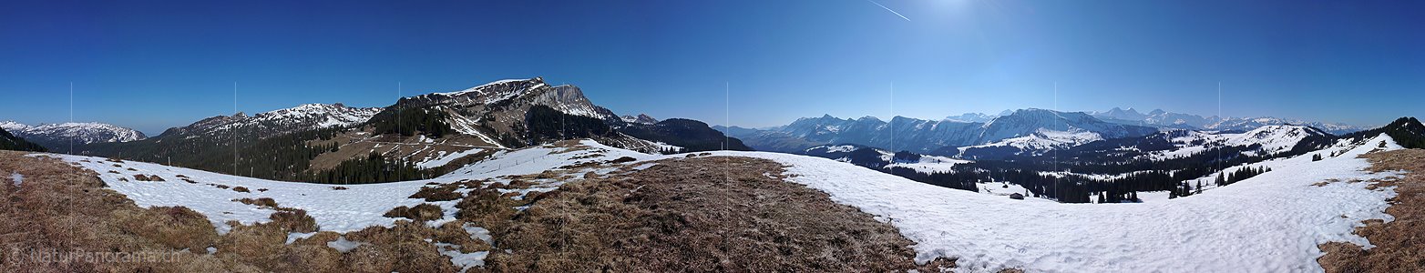 P002064: Panorama Hohgantgebiet