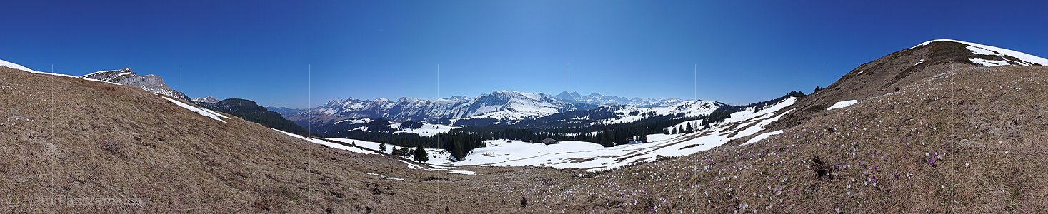 P002066: Panoramabild Bergfrühling
