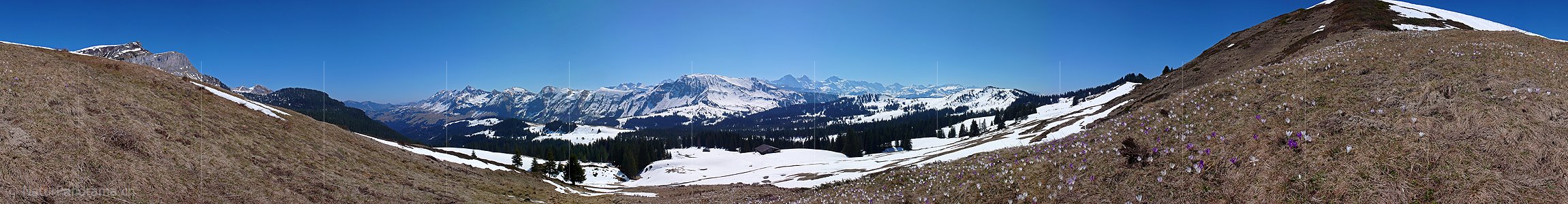 P002067: Panoramafoto Bergfrühling