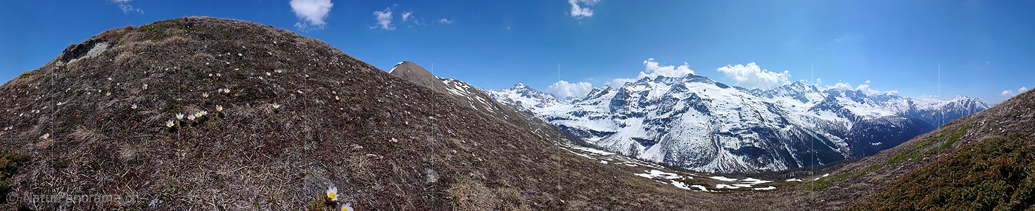 P002107: Panoramafoto Pelzanemonen