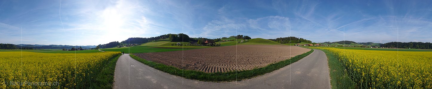 P002132: Panorama Rapsfeld und Acker