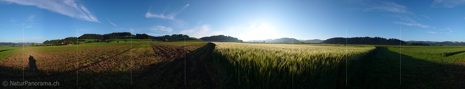 P002201: Panoramabild Kulturland