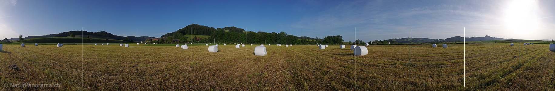 P002242: Panorama Landwirtschaft
