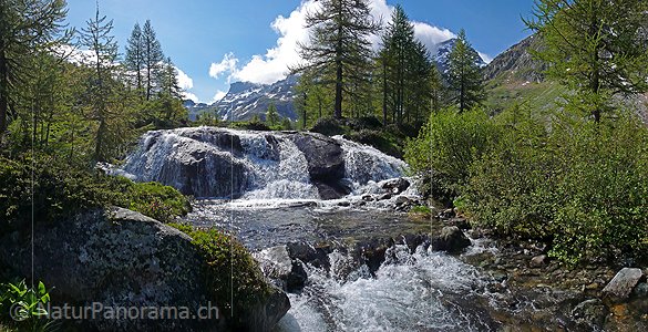 P002284: Panoramafoto Wasserfall